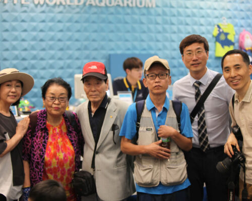 독거노인 지원 50