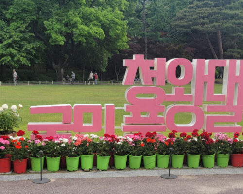 독거노인 지원 78