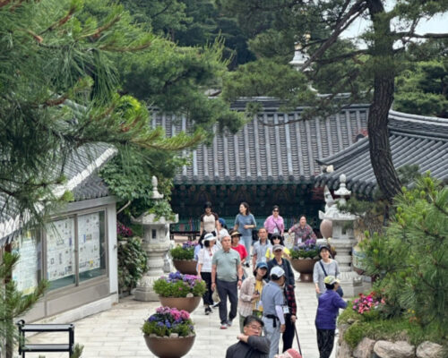 독거노인 지원 82