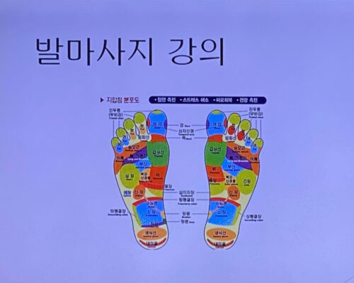 특별프로그램 66