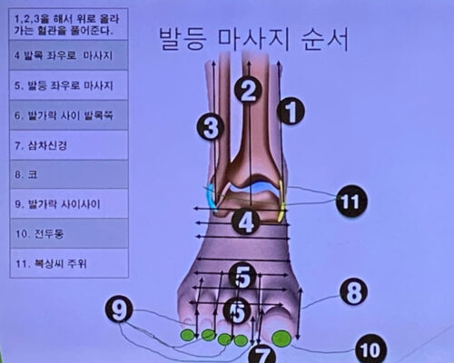 특별프로그램 69