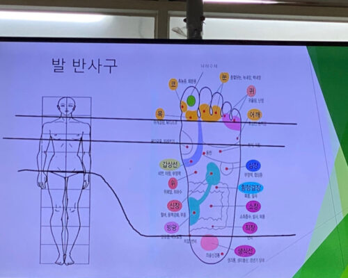 특별프로그램 72