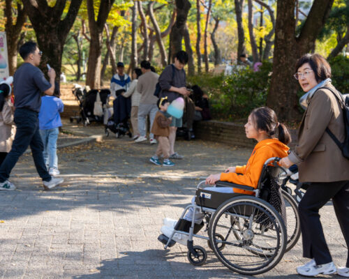 장애인 나들이